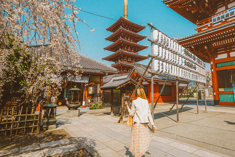 The Best Places to Visit in Tokyo in 3 Days