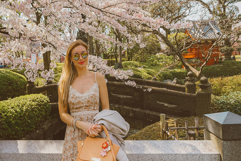 Best Places to Visit in Tokyo | 3 Days in Tokyo | Tokyo in 3 Days | Visit Japan | Visit Tokyo | Tokyo Attractions | Travel | Travel Photography | Bubbly Moments