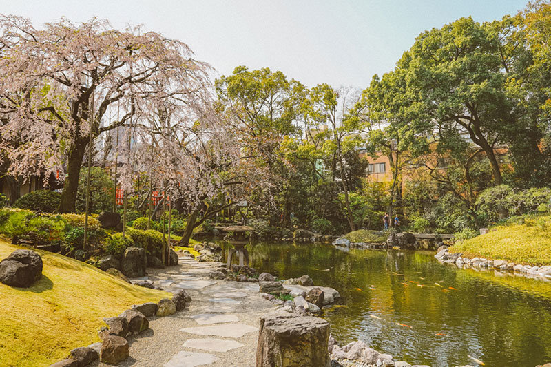 Best Places to Visit in Tokyo | 3 Days in Tokyo | Tokyo in 3 Days | Visit Japan | Visit Tokyo | Tokyo Attractions | Travel | Travel Photography | Bubbly Moments
