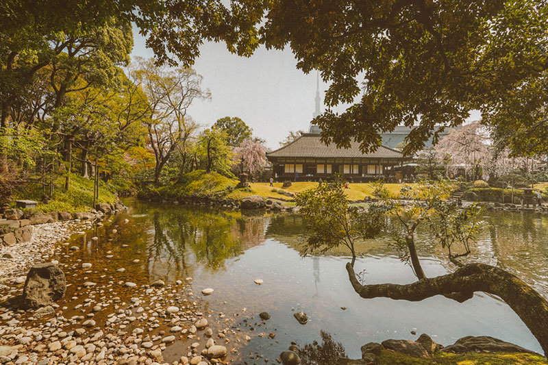 Best Places to Visit in Tokyo | 3 Days in Tokyo | Tokyo in 3 Days | Visit Japan | Visit Tokyo | Tokyo Attractions | Travel | Travel Photography | Bubbly Moments