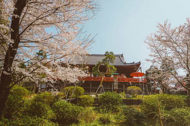 Best Places to Visit in Tokyo | 3 Days in Tokyo | Tokyo in 3 Days | Visit Japan | Visit Tokyo | Tokyo Attractions | Travel | Travel Photography | Bubbly Moments