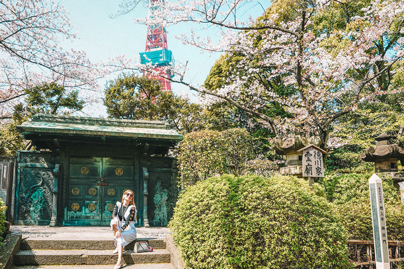 Best Places to Visit in Tokyo | 3 Days in Tokyo | Tokyo in 3 Days | Visit Japan | Visit Tokyo | Tokyo Attractions | Travel | Travel Photography | Bubbly Moments