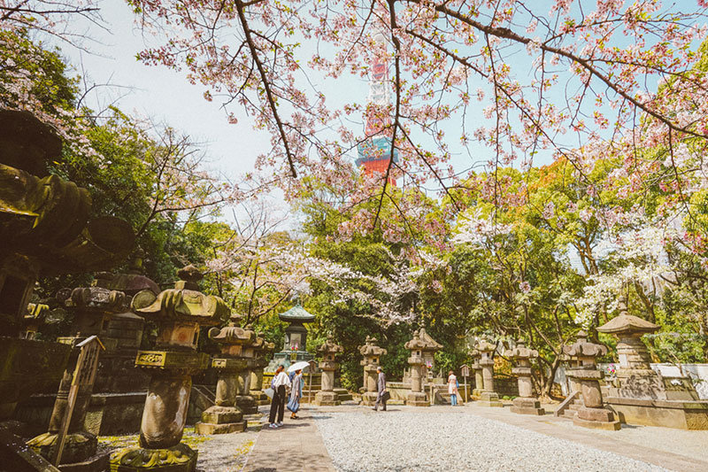 Best Places to Visit in Tokyo | 3 Days in Tokyo | Tokyo in 3 Days | Visit Japan | Visit Tokyo | Tokyo Attractions | Travel | Travel Photography | Bubbly Moments