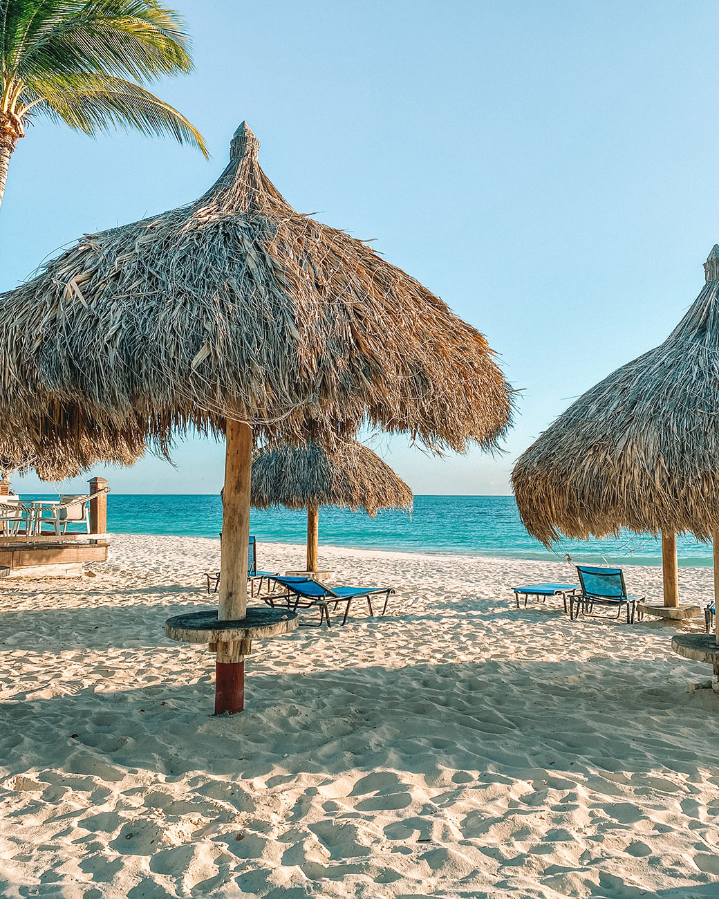 Divi & Tamarijn Resort | Divi Aruba | Tamarijn Aruba | Travel Aruba Blog | Bubbly Moments
