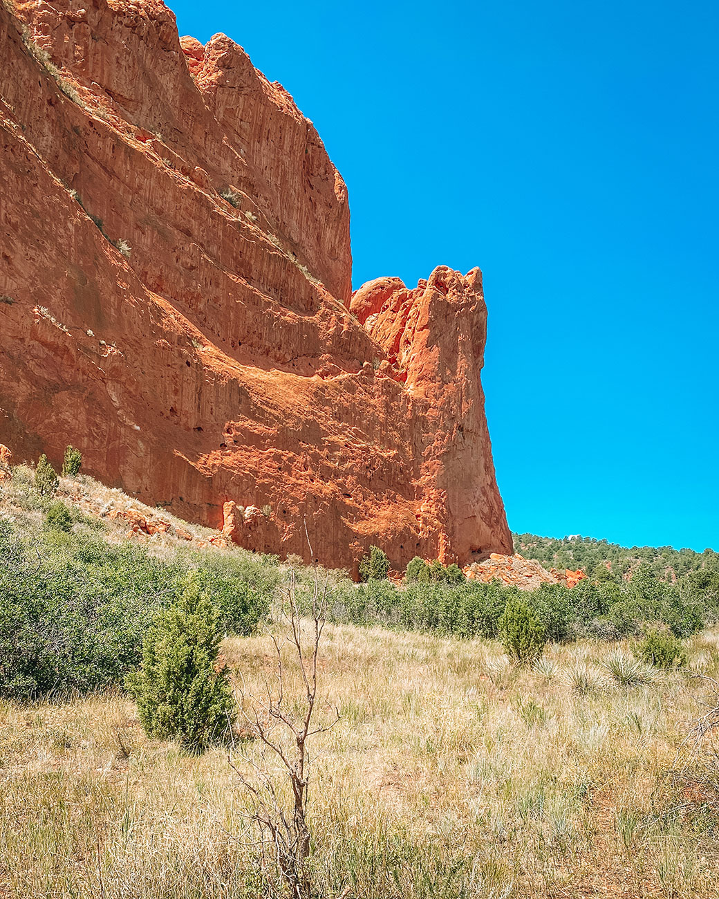The Garden of Gods | Garden of Gods Colorado | Colorado Springs | Gods Trail Colorado Springs | Red Rock Corral | Trailing | Hiking | Rock Mountains | Outdoor Activities | Fun things to do in Colorado | Places in Colorado Springs | Chambers Trail | Bretag Trail Colorado | Parlmer Trail Colorado | Garden of Gods Trail in Colorado Springs | Bubbly Moments